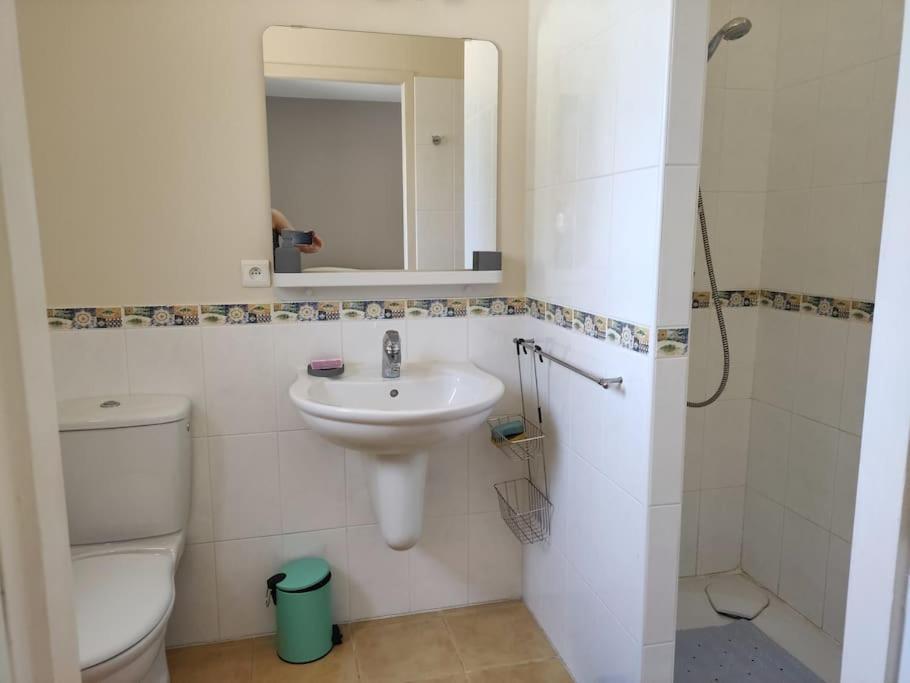 Charmant T2 Moderne Au Calme Avec Jardin Vue Sur Canigou Moltig les Bains Exterior photo